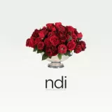 NDI