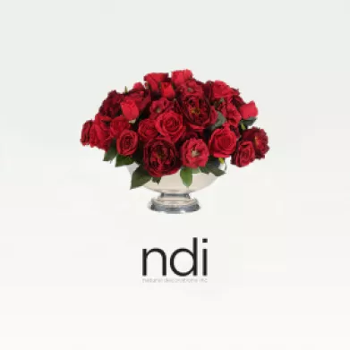 NDI
