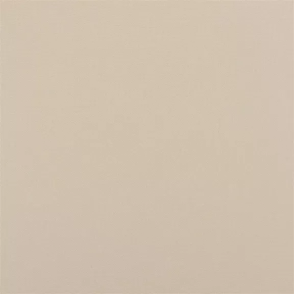 Coastal Plain Ecru