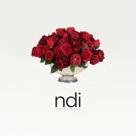 NDI