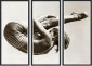 Постер Olympic High Dive Sepia