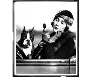 Постер Flapper Girl