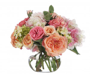 Цветы Hydrangea Rose, Pink Peach