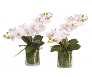 Цветы Orchid Phalaenopsis, Set Of 2, Pink, Glass