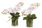 Цветы Orchid Phalaenopsis, Set Of 2, Pink, Glass