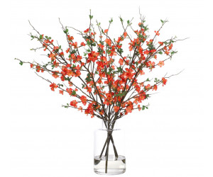 Цветы Quince Blossom, Orange, In Glass Vase