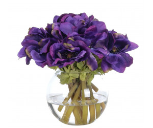 Цветы Anemone, Purple, Glass Bubble