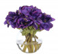 Цветы Anemone, Purple, Glass Bubble