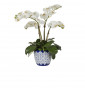 Цветы Orchid Phalaenopsis, Cream White, In Ceramic Vase