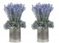 Цветы Hydrangea Lavender, Lavender Blue, Planter, сет из 2