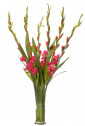 Цветы Gladiola, Fuchsia, Glass