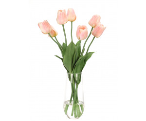 Цветы Tulip, Apricot, Glass Tapered Cylinder