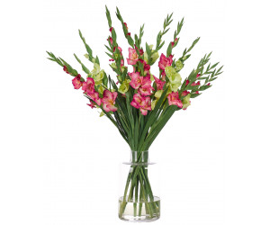 Цветы Gladiola, Pink Green, в стеклянной вазе