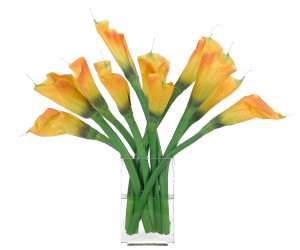 Цветы Lily Calla, Orange, In Glass Rectangle