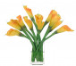 Цветы Lily Calla, Orange, In Glass Rectangle