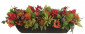 Цветы Ginger Protea, Red Orange, Wood Trough