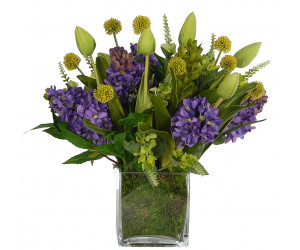 Цветы Hyacinth Tulip, Purple Green, в стеклянном кубе