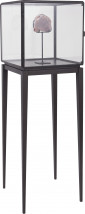 Кабинет Atkins Vitrine