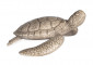 Декоративный аксессуар Shelldon Tortoise Accessory Grey Wash