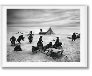 Книга Salgado, Genesis, Art B, Siberia-GB