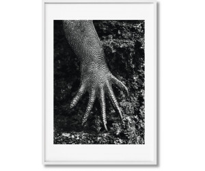 Книга Salgado, Genesis, Art D, Ecuador-GB