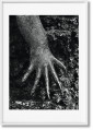 Книга Salgado, Genesis, Art D, Ecuador-GB
