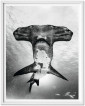 Книга Muller, Sharks, Art B, Under Study-GB