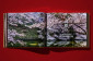 Книга Narisawa, Satoyama Cuisine-GB