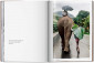 Книга McCurry, Animals, Art B-INT