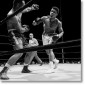 Постер Leifer, Ali vs. Folley-NON