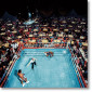 Постер Leifer, Ali vs. Foster-NON