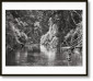 Книга Salgado, Amazônia, Art B, Young Hatiri bathes-GB