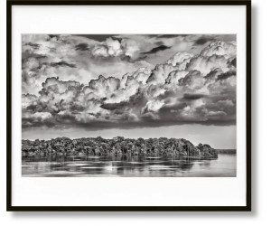 Книга Salgado, Amazônia, Art D, Paraná-GB