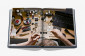 Книга The Connoisseur'S Guide To Fine Timepieces: European Watch Company