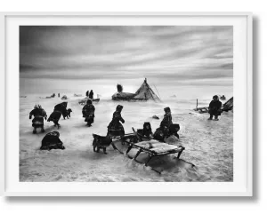 Книга Salgado, Genesis, Art B, Siberia-GB