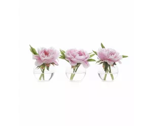 Цветы Peony, сет из 3