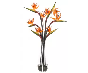 Цветы Bird Of Paradise, оранжевые в стеклянной вазе