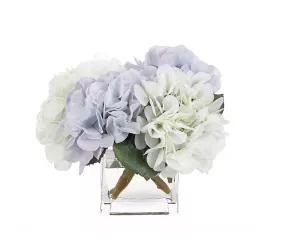 Цветы Hydrangea Бело-голубые в стеклянном кубе