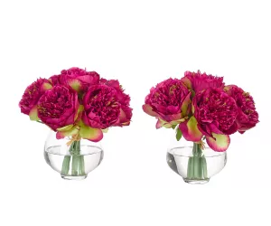 Цветы Peony Fuchsia, сет из 2, в стеклянной вазе
