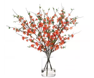 Цветы Quince Blossom, Orange, In Glass Vase