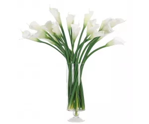 Цветы Lily Calla, White Drop In With Glass Cylinder