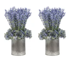 Цветы Hydrangea Lavender, Lavender Blue, Planter, сет из 2