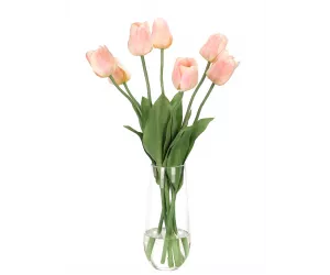 Цветы Tulip, Apricot, Glass Tapered Cylinder
