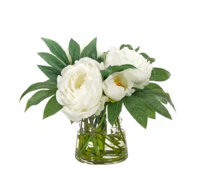 Цветы Peony, Faux Watergarden