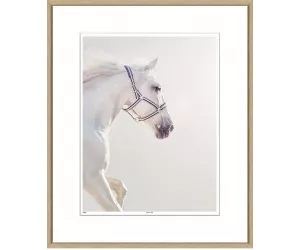 Постер в раме Graceful Steed