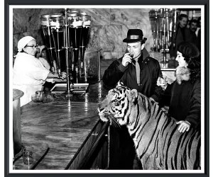 Постер An Obedient Tiger