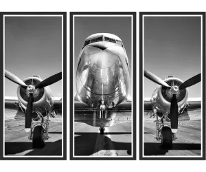 Постер DC-3 Aeroplane