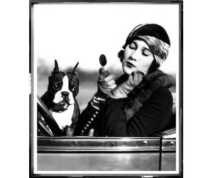 Постер Flapper Girl