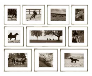 Сет Постеров (10 Штук) Templeton Stud Collection Bwhc-Sa/424