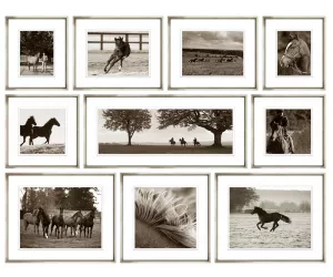 Сет постеров (10 штук) Темплтон Студ Коллекшн (Templeton Stud Collection), в рамке 424